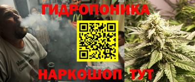 хмурый Дмитров