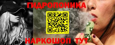 хмурый Дмитров