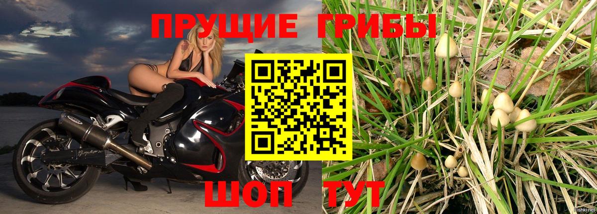 Галлюциногенные грибы Psilocybine cubensis  Вход с VPN  Волгодонск 