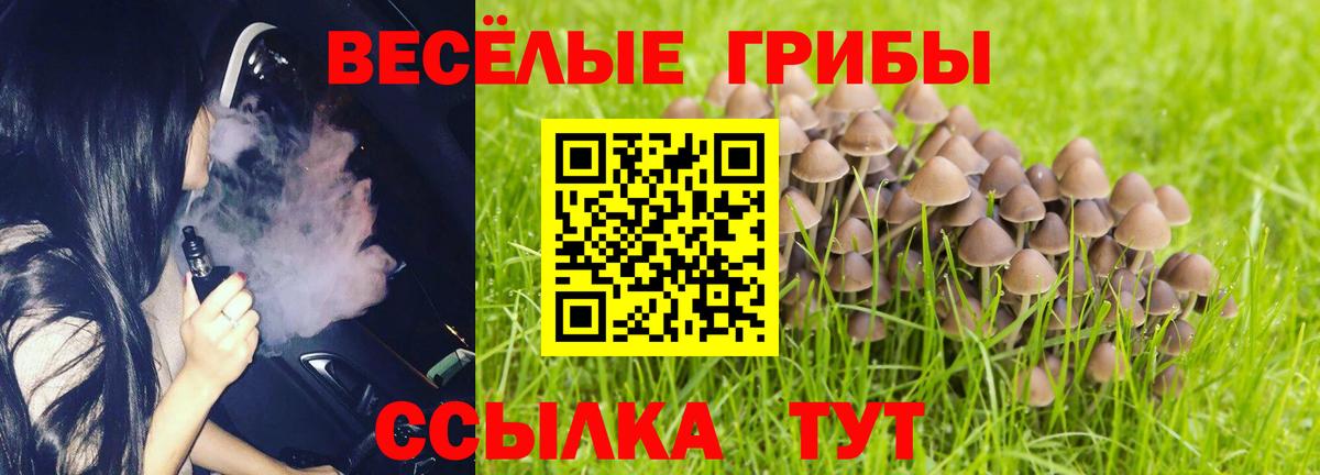 Галлюциногенные грибы мицелий Волгодонск